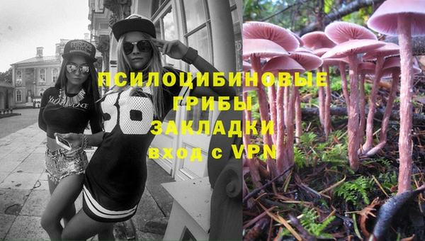 марки lsd Богородицк