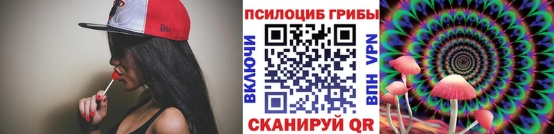 Купить закладки  Коммунар  Псилоцибиновые грибы GOLDEN TEACHER 